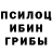 Псилоцибиновые грибы мухоморы Vitalijus Saveljevas