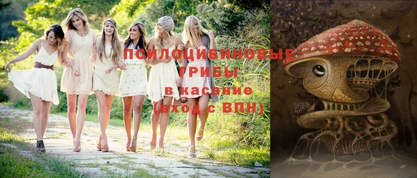 spice Балахна