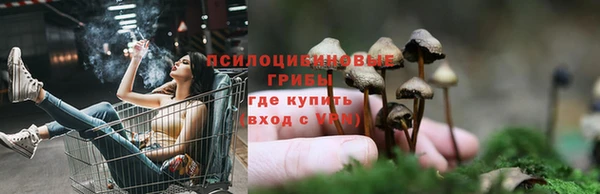 spice Балахна