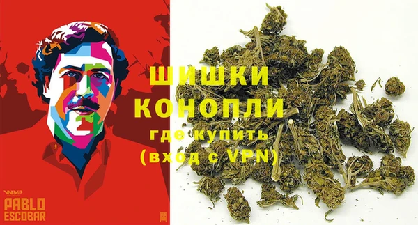 дживик Баксан