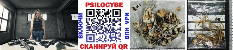 Галлюциногенные грибы мухоморы  Купить где  Строитель 